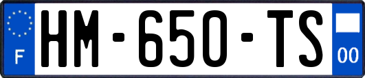 HM-650-TS