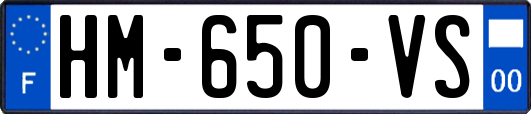 HM-650-VS