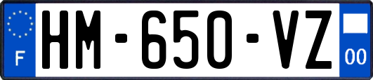HM-650-VZ