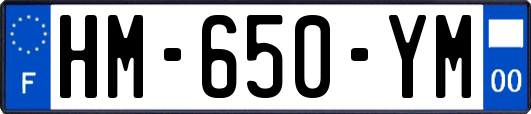 HM-650-YM