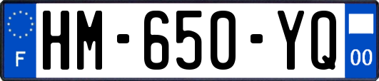 HM-650-YQ