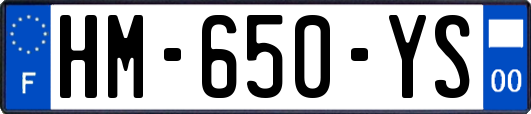 HM-650-YS