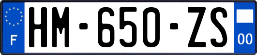 HM-650-ZS