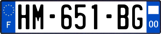 HM-651-BG