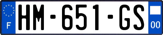 HM-651-GS
