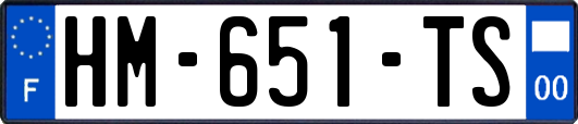 HM-651-TS