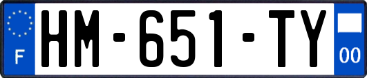 HM-651-TY
