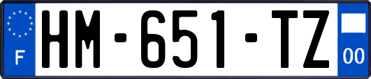 HM-651-TZ