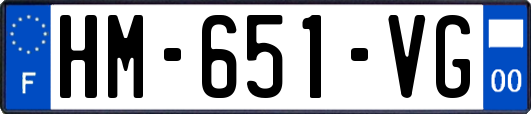 HM-651-VG