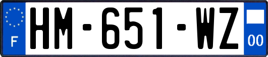 HM-651-WZ
