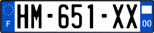 HM-651-XX