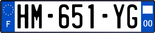 HM-651-YG