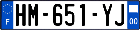 HM-651-YJ