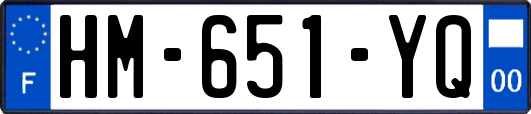 HM-651-YQ