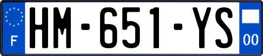 HM-651-YS