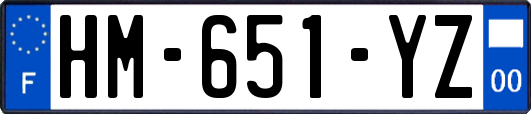 HM-651-YZ
