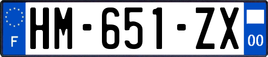 HM-651-ZX