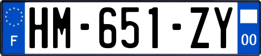 HM-651-ZY