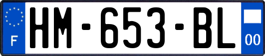 HM-653-BL