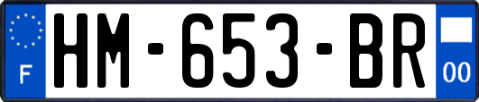 HM-653-BR