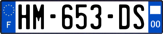 HM-653-DS