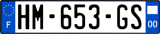 HM-653-GS