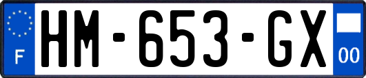 HM-653-GX