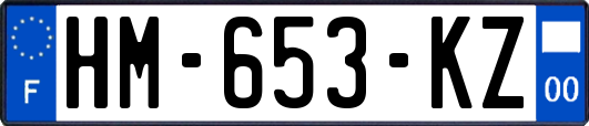 HM-653-KZ