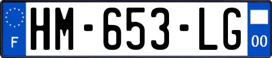 HM-653-LG