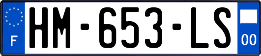HM-653-LS
