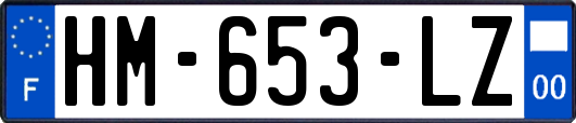 HM-653-LZ