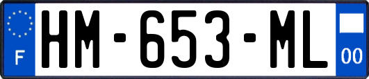 HM-653-ML
