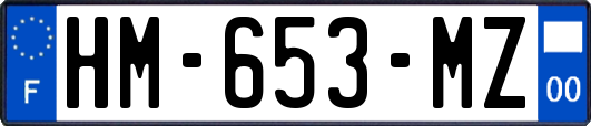 HM-653-MZ