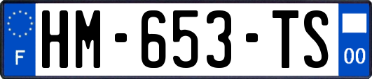 HM-653-TS