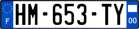 HM-653-TY