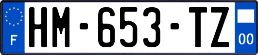 HM-653-TZ