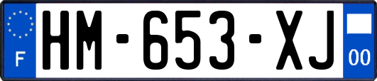 HM-653-XJ
