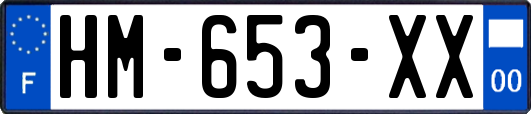 HM-653-XX