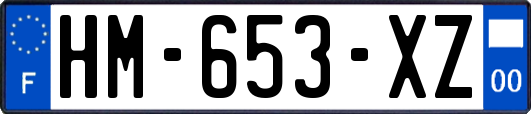 HM-653-XZ