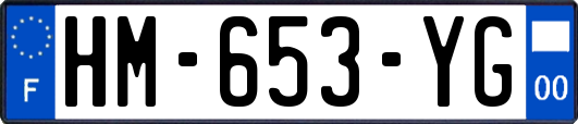 HM-653-YG