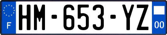 HM-653-YZ