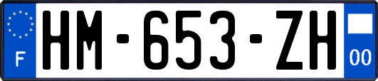 HM-653-ZH