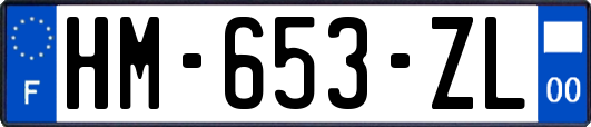HM-653-ZL