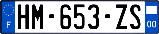 HM-653-ZS