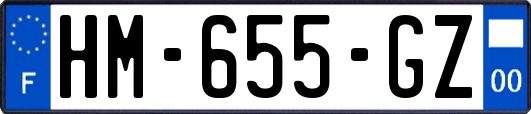 HM-655-GZ