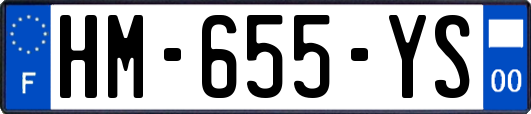 HM-655-YS