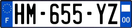 HM-655-YZ