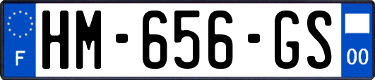 HM-656-GS