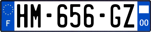 HM-656-GZ