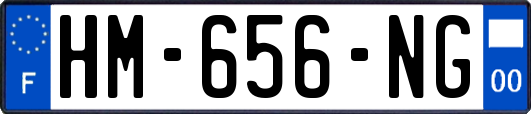 HM-656-NG